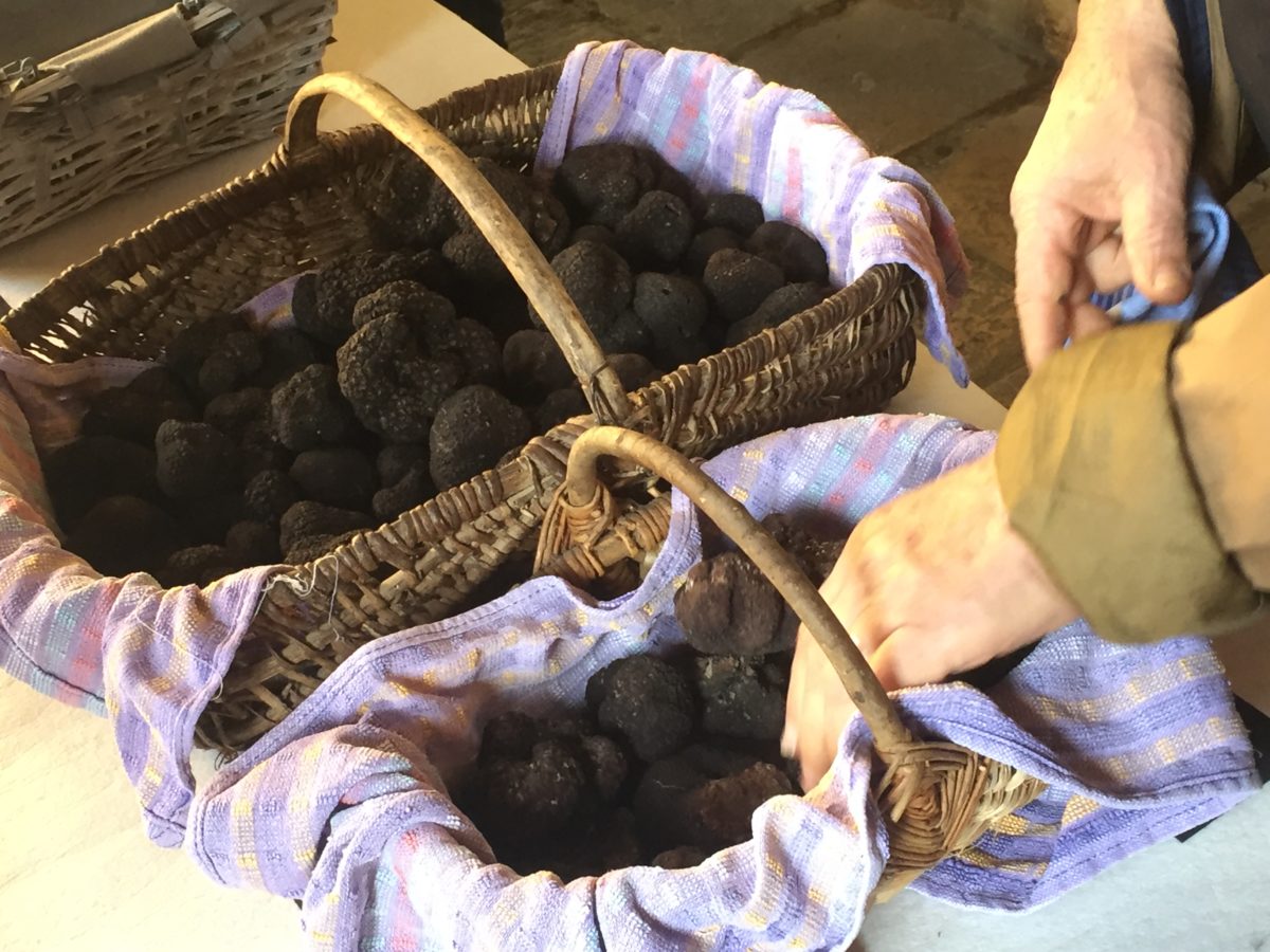 Ouverture du marché de gros aux truffes